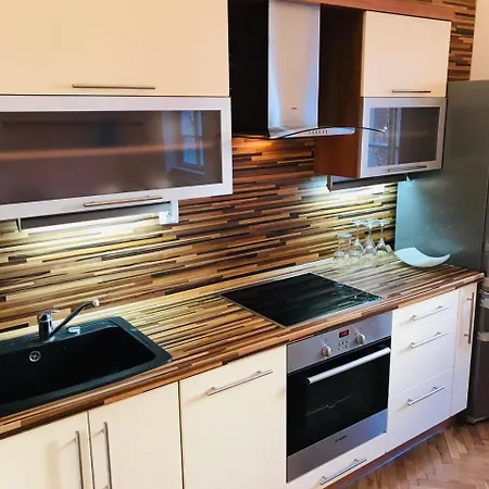 U Obecniho Dvora Apartment Prague