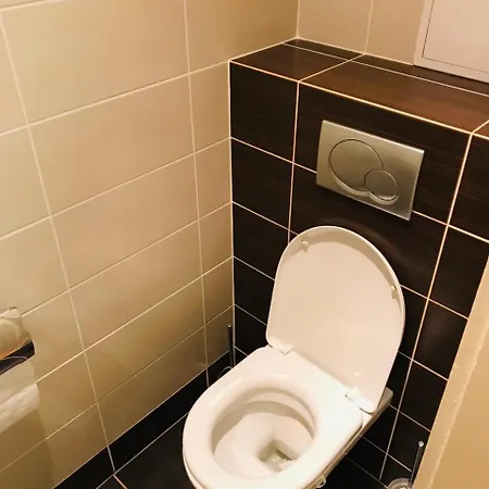 U Obecniho Dvora Apartment Prague